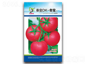 �ػ�DK-����F1-��������-�ػ�