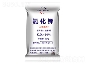 60%�Ȼ��أ���ɫ���壩-����㾰