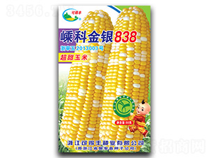 �ӿƽ���838-��������-�ӿ���ҵ