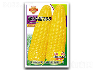 �ӿ���208-��������-�ӿ���ҵ