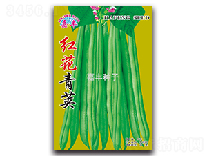 �컨���-��������-�η�����