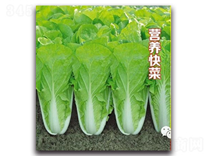 Ӫ�����-�ײ�����-����ũҵ