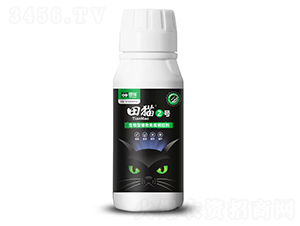 ������ֲ�����ߵ��ؼ�-��è2��