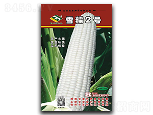 ѩŴ2��-Ŵ��������-����