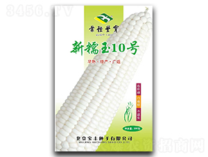 ��Ŵ��10��-Ŵ��������-����