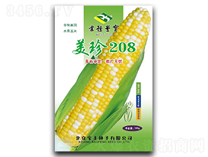 ����208-Ŵ��������-����