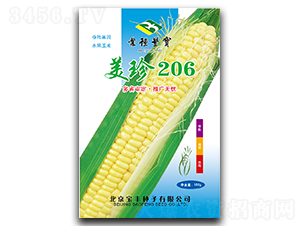 ����206-Ŵ��������-����