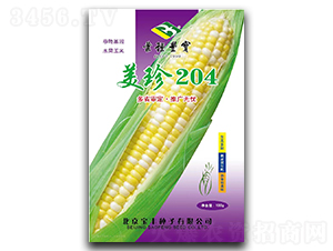 ����204-Ŵ��������-����