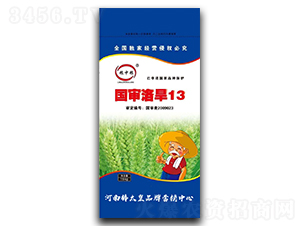 �����庵13��С�����ӣ�-������-������ҵ