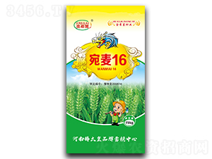 ����16��С�����ӣ�-��ϣ��-������ҵ
