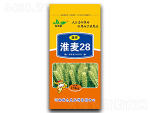 ������28��С�����ӣ�-������-������ҵ