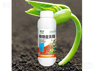 500g�ڷ�������-���ְ�