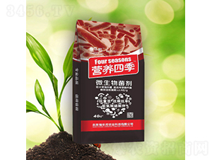 Ӫ���ļ�΢�������-���ְ�