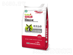 �������Ϸ�20-23-5+TE-������-����
