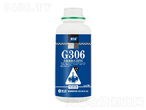 G306��������ˮ�ܷ�-�¶���
