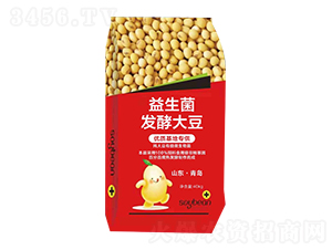 ���������ʹ�40kg-��ŵ��