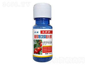 ����������������-�˶��-˳��