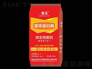 ���嵰��ø-����-ʩ����