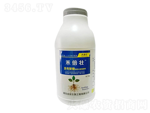 4kg���Ǿ����л�ˮ���Է���-�̱�׳-��������