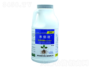 4kg�̱�׳���Ǿ����л�ˮ���Է���-��������