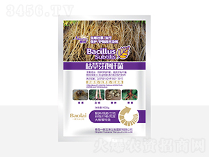 1000g�ݲ�ѿ�߸˾�-����-һ������