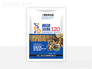 ��������120-һ������