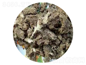 �ɼ���-�ָ���