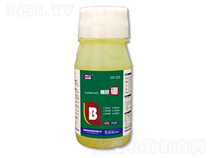 300g�Ǵ���-����