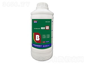 1000g�Ǵ���-����