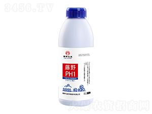 ��ҰPH1���紲����ɱ����-��Ұ����