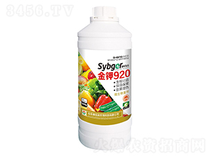���920-ʩ�۸�