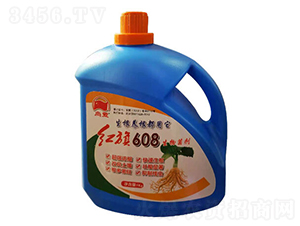 608�������-�з�-��������