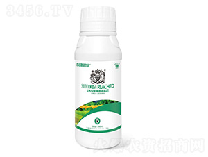 Һ�嵪1000ml-ʨ����ҵ