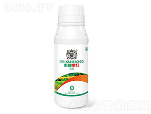 Ҷ������500g-ʨ����ҵ