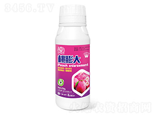 �����250g-ʨ����ҵ