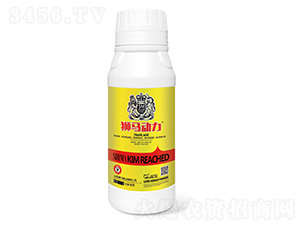 ʨ������1000g-ʨ����ҵ