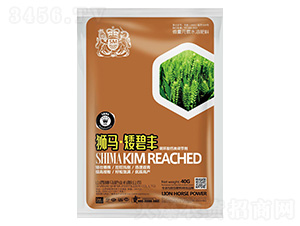 ʨ�����̷�40g-ʨ����ҵ