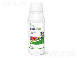 ���ų���ͷ��1000ml-ʨ����ҵ