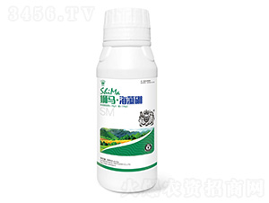 ������1000ml-ʨ����ҵ