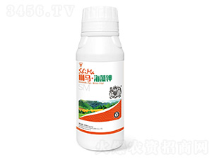�����1000ml-ʨ����ҵ