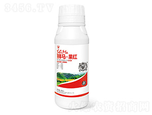 ����50-350-450+TE-ʨ����ҵ