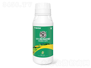 ������ˮ�ܷ���1000ml-ʨ����ҵ