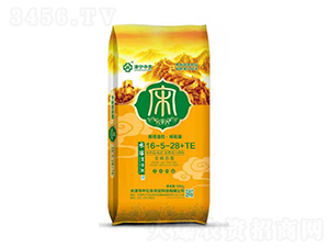 ��������ˮ�ܸ��Ϸ�16-5-28+TE-����ũ
