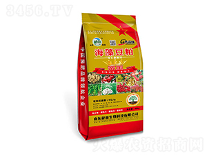 5�ھ����嶹��΢�������-��������