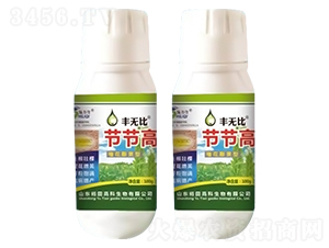 �ڽڸ�-���ޱ�-ԣ��߿�����