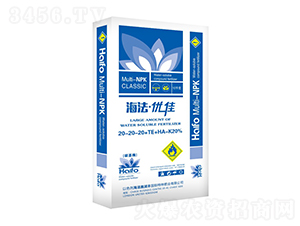 �����ż�20-20-20+TE+HA-�����