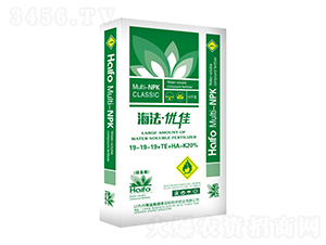 �����ż�19-19-19+TE+HA-�����