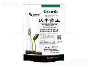 500g�ַ����-�����