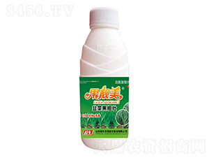 �²˺ڴ�׳-������-ս��