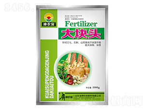 �龥�����ͷ-ս��